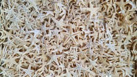 تصویر ستاره ریز طبیعی 