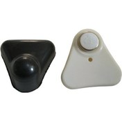 تصویر تگ مثلثی AM 