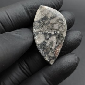 تصویر نگین فسیل کرینوئید (کدA687) 