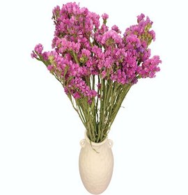 تصویر گل خشک زنبوری 