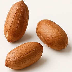 تصویر بادام زمینی آستانه 