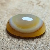 تصویر باباقوری زرد تک چشم طبیعی منظم 