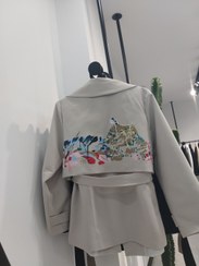 تصویر بارونی 