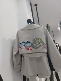 تصویر بارونی 