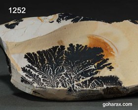 تصویر سنگ فسیل شجر دندریت 