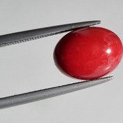 تصویر نگین بیضی مرجان بهسازی شده ۷۹۱۲ 