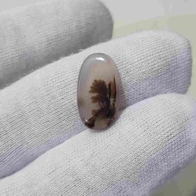 تصویر عقیق شجر قائن اصل کد 2 