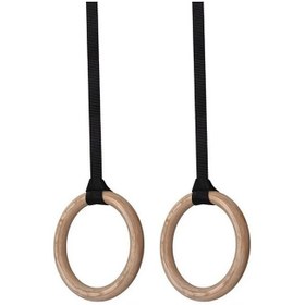 تصویر دار حلقه ایرانی 