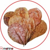 تصویر برگ کاتاپا آکواریوم بسته 5 عددی 