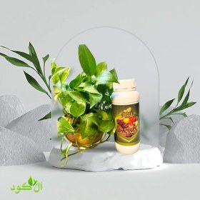 تصویر کود آهن شوک ۲۰ لیتری آمریکایی نانو مایع 