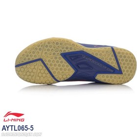 تصویر کفش بدمینتون لی نینگ مدل Li-Ning AYTL065-5 