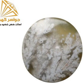 تصویر نگین شجر زمستانی (کد۷۷) 