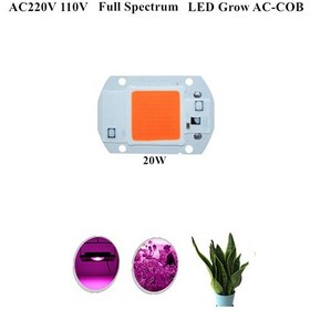 تصویر LED COB مخصوص رشد گیاه 50W 220V با درایور داخلی 