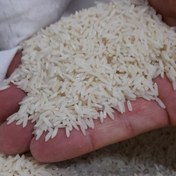 تصویر برنج طارم هاشمی درجه یک(فروش عمده)امساله حتما توضیحات رو مطالعه بفرمائید 
