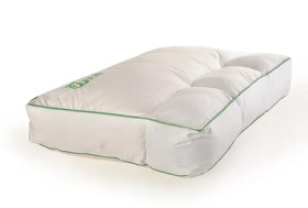 تصویر بالش مدیکال زئوس 