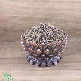 تصویر خار مریم سید عطار 