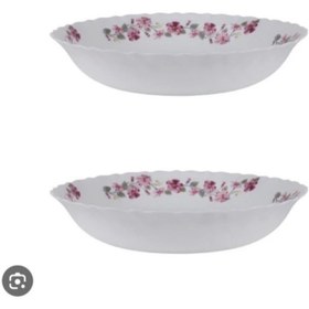 تصویر دیس نیم گود مرغ خوری ۲۳۰ 