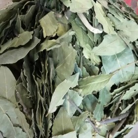 تصویر برگ بو 75 گرم 