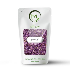 تصویر گل مربا ( گل محمدی ) 