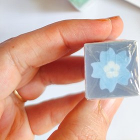 تصویر پاکن مغزدار گل 