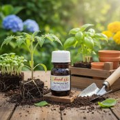 تصویر کود مایع ریشه افزایی ریژو کیمیتک اسپانیا | افزایش تراکم ریشه و جذب بهتر 