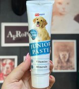 تصویر خمیر مولتی ویتامین توله سگ مدل پت آلپین (105gr) Pet Alpin puppy multivitamin paste (105gr)