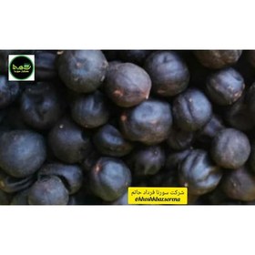 تصویر لیمو عمانی (سیاه)جهرم امساله درجه یک(لیمو کامل با پوست) در بسته بندی 800 گرمی 