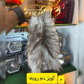 تصویر آویز دم روباه 