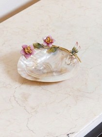 تصویر صدف پایه حلزونی 