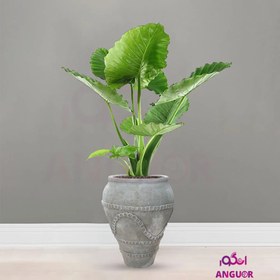 تصویر بابا آدم سبز با گلدان مصری سرامیکی 