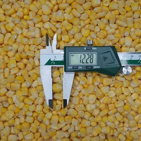 تصویر ذرة مجمدة بهفرين (کپی) 