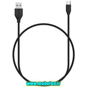 تصویر کابل تبدیل USB به USB-C راو پاور مدل RP-CB017 طول 0.9 متر 