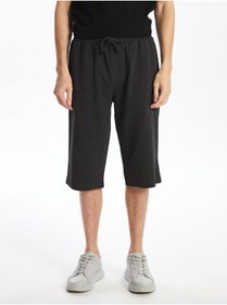 تصویر Standart Kalıp Erkek Bermuda Şort 