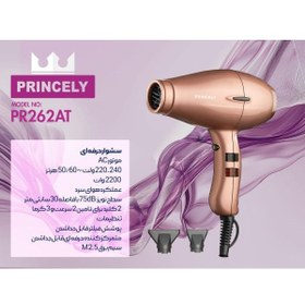 تصویر سشوار پرنسلی مدل PR262AT Princely Hair Dryer Model PR262AT