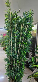 تصویر شاخه بامبو ۲ متری کم تراکم 