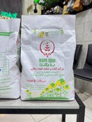 تصویر بذر کلزا هایولا 50 شهید رجایی پملپ hayola 50