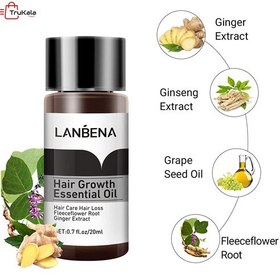 تصویر قطره رشد مو لانبنا Lanbena hair growth essential oil