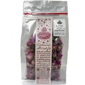 تصویر غنچه گل سرخ 