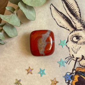 تصویر جاسپر قرمز ۰۵ 