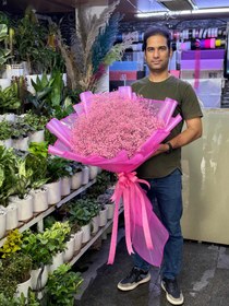 تصویر دسته گل چپسفولیا 