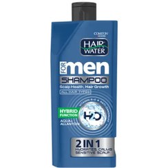 تصویر شامپو مردانه ضد شوره و آبرسان کامان مدل 2in1 مناسب انواع مو 410 میلی لیتر 
