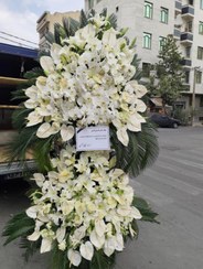 تصویر تاج گل خوب 