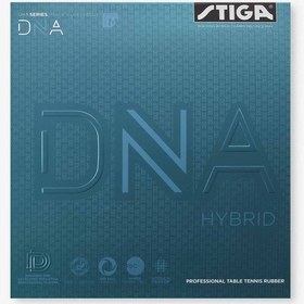 تصویر رویه DNA Hybrid M استیگا 