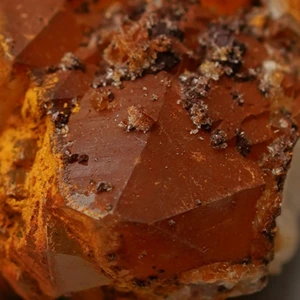 تصویر فروشگاه مرد سنگی