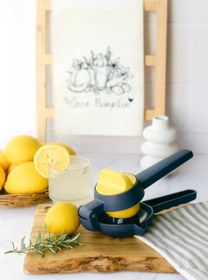 تصویر آبمیوه گیر سیتروس 