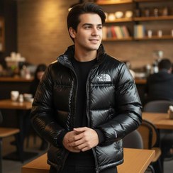 تصویر کاپشن مردانه North_Face مدل 3816 