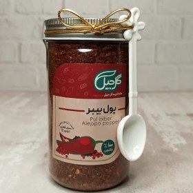 تصویر پول بیبر گل‌جیل 