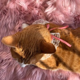 تصویر پرنسس 