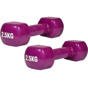 تصویر دمبل ایروبیک ۲.۵ کیلوگرم بسته ۲ عددی 