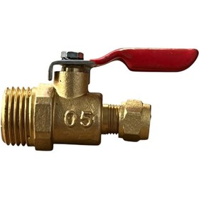 تصویر شیر کولری امید 